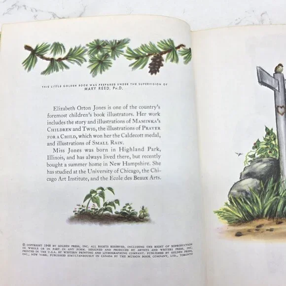 Vintage 1948 A Little Golden Book Little Red Riding Hood By Elizabeth Jones - Picture 2 of 10